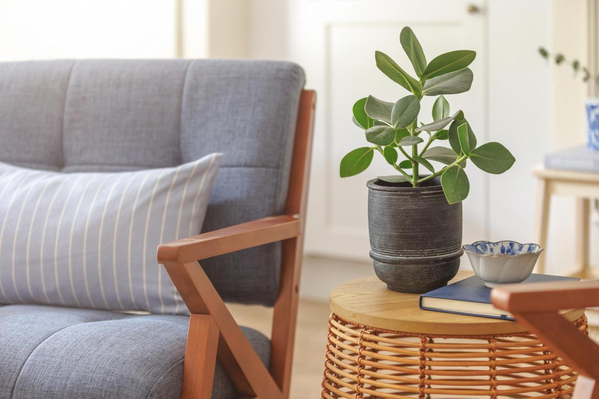 Ocean City Stylish Apartment 普里茅斯 外观 照片